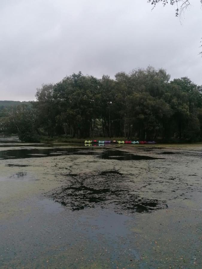 Les Gites De L'Etang De La Foret Brandivy المظهر الخارجي الصورة